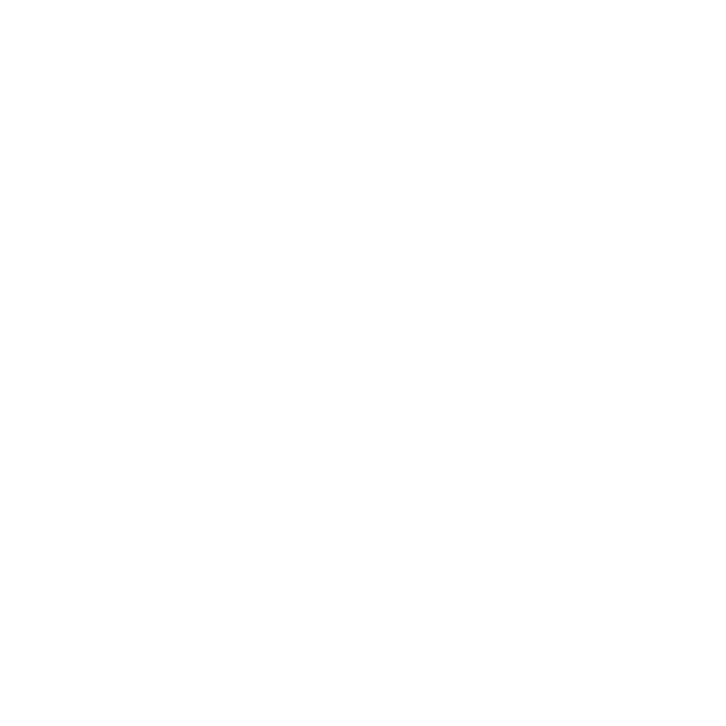 Blue Oasis Capital